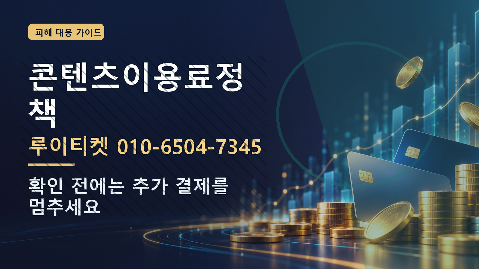 콘텐츠이용료정책: 루이티켓 010-6504-7345 · 확인 전에는 추가 결제를 멈추세요